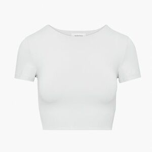 aritzia grey Babaton Contour Crew Cropped T-Shirt